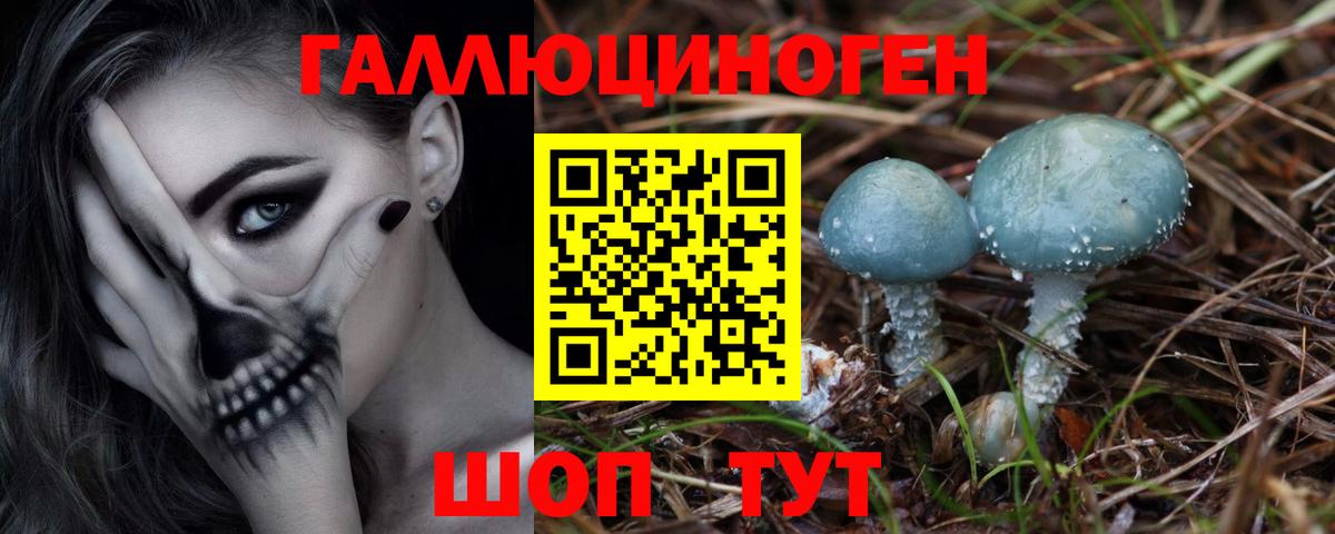 Псилоцибиновые грибы прущие грибы Северск